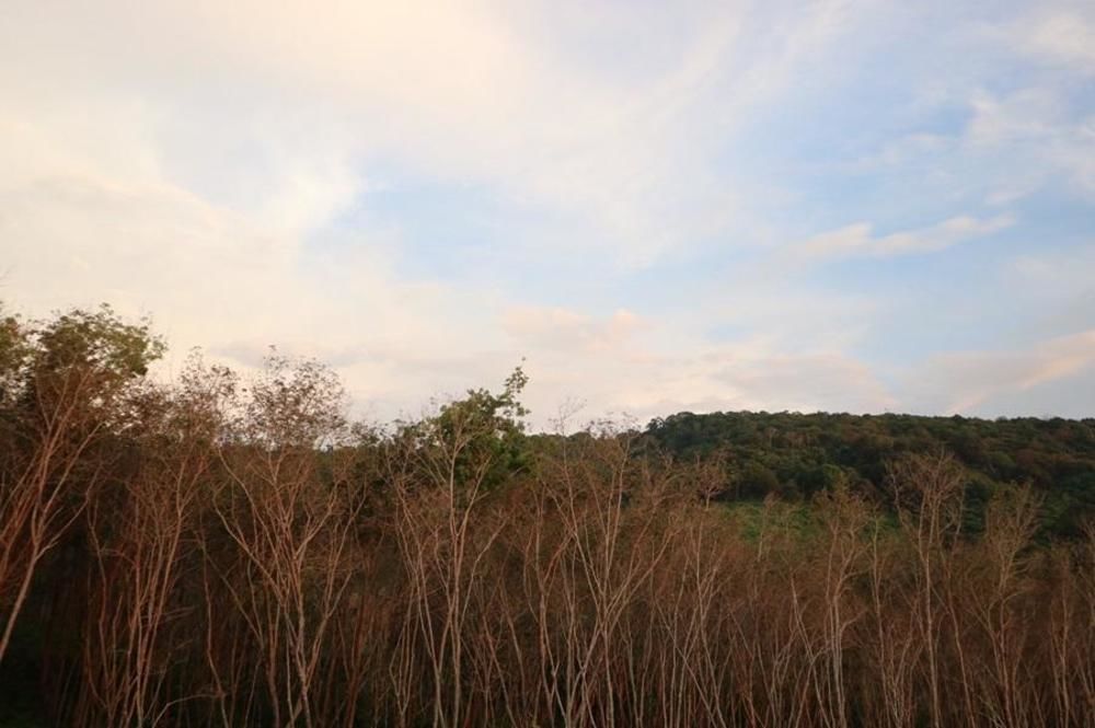 Cottage Hill At Lanta 란타섬 외부 사진
