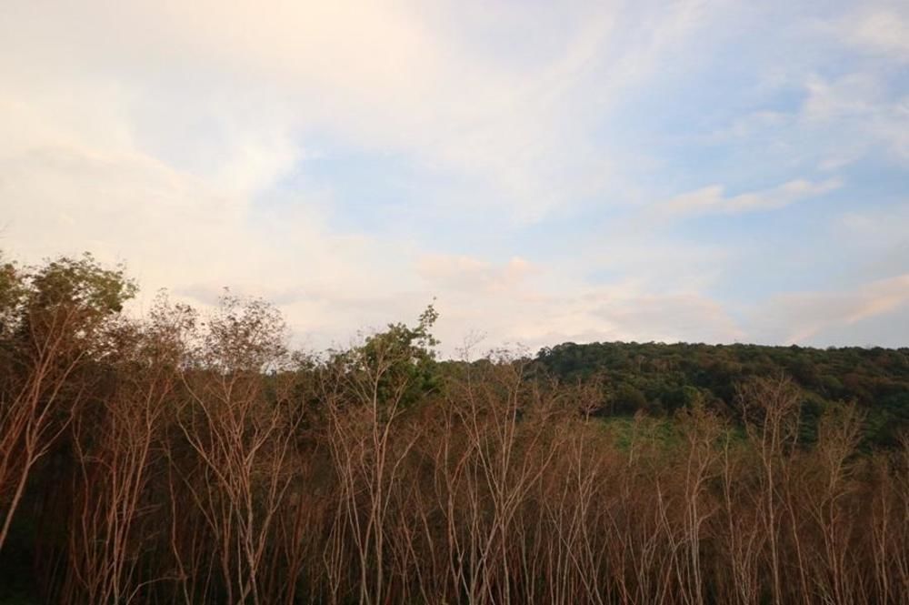 Cottage Hill At Lanta 코란타 외부 사진